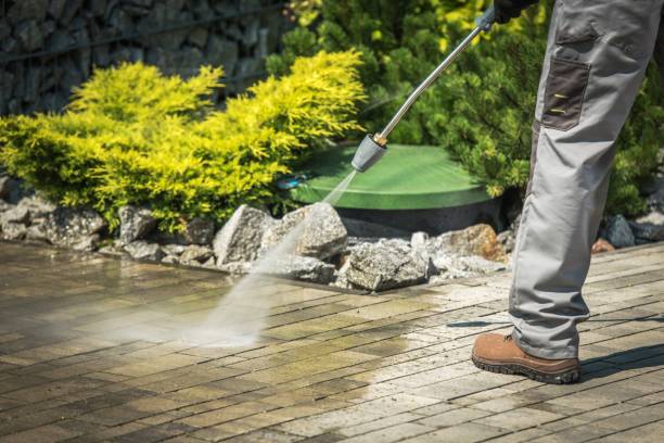 Best Fence Cleaning  in Colquitt, GA